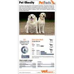 Pet Obesity Pet Facts Sheet